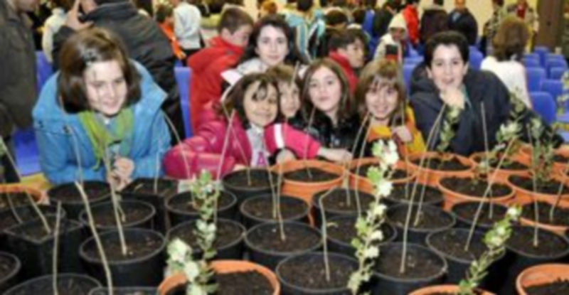 En la edición del año anterior