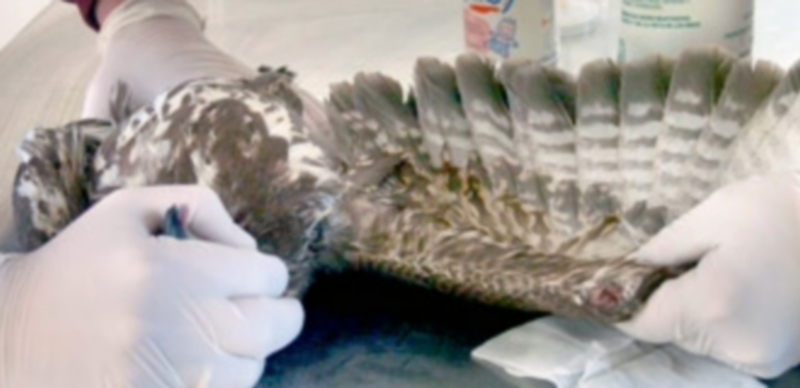 Varios operarios de “Los Lavaderos”