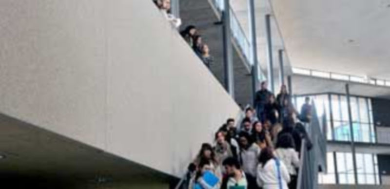 La Junta ha decidido cerrar la entrada de nuevos alumnos en Relaciones Laborales para eliminar esta carrera en Segovia. / K