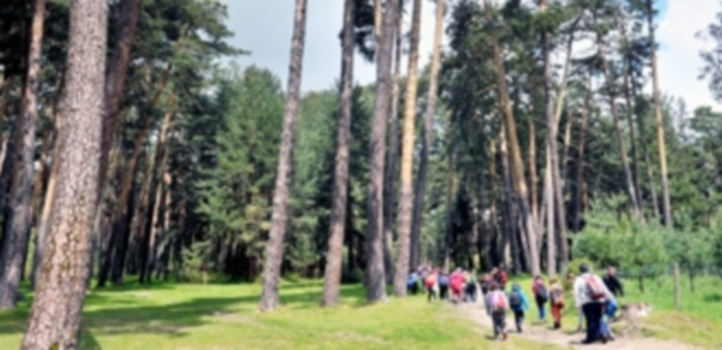 El Parque Nacional de la Sierra de Guadarrama contará en breve con un patronato dedicado a la gestión de las 34.000 hectáreas entre Madrid y Castilla y León. / Kamarero