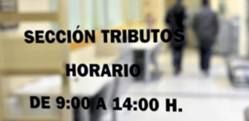 El Ayuntamiento de Segovia dispone de una sección de ‘Atención al Contribuyente’ en la sede de la Plaza Mayor. / Kamarero