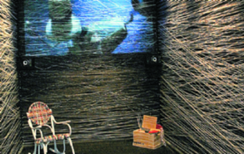 Un grito de libertad creativa 1 11 316 1