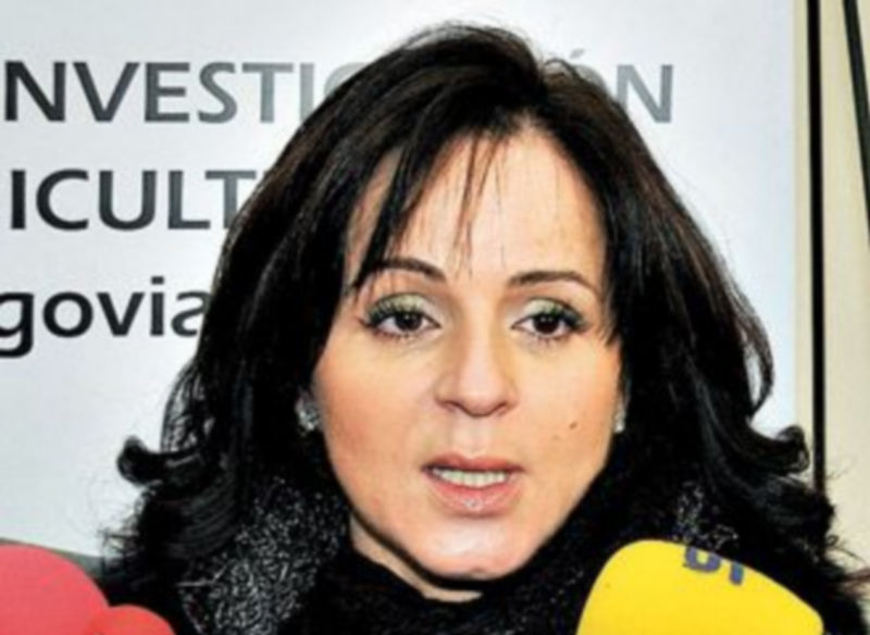 La consejera Silvia Clemente