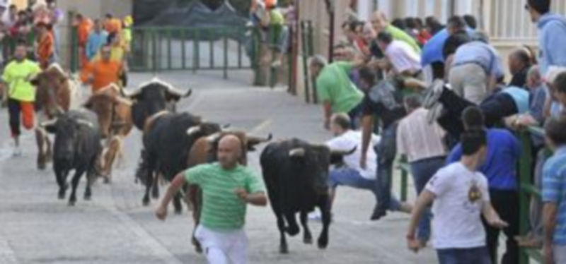 Las reses ofrecieron bonitas carreras sobre todo en el tramo central del recorrido