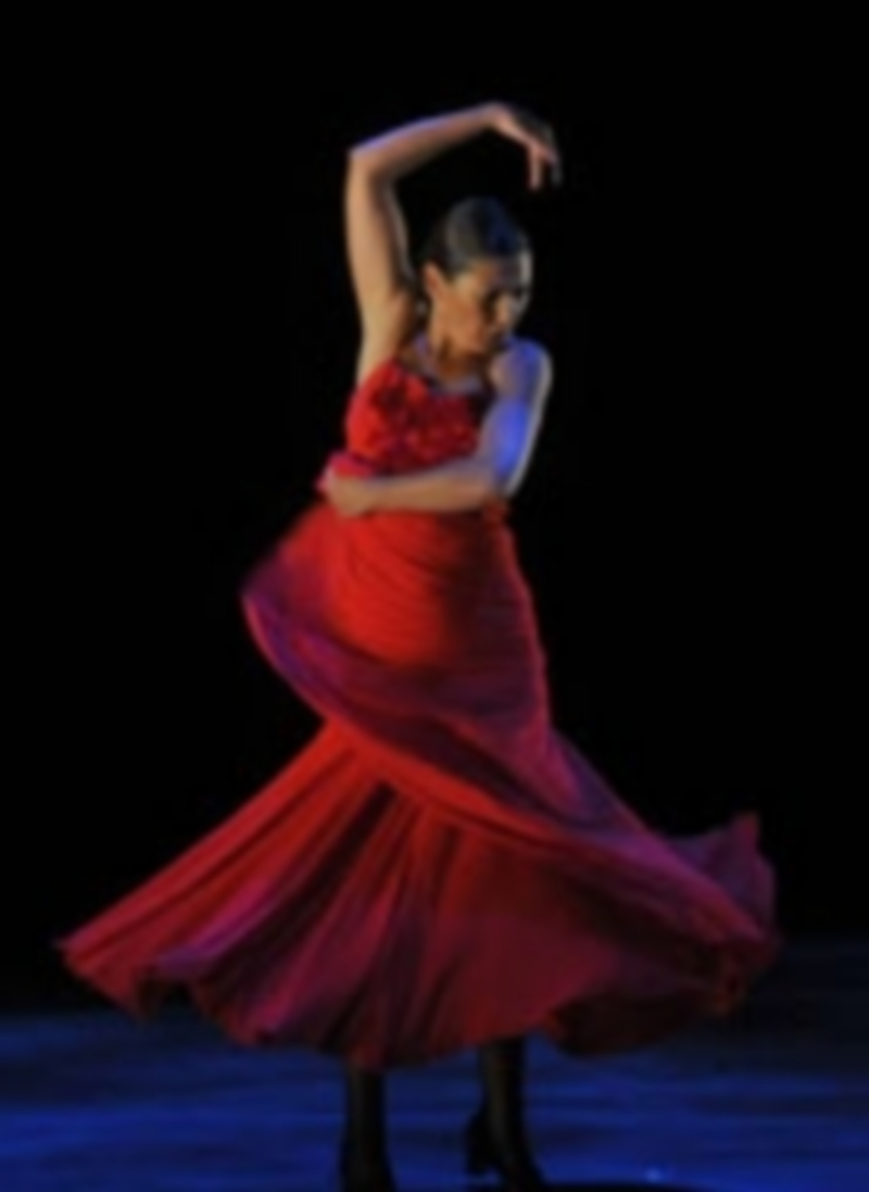 La bailaora gaditana Sara Baras durante una de sus anteriores actuaciones en Segovia. / Alberto Benavente