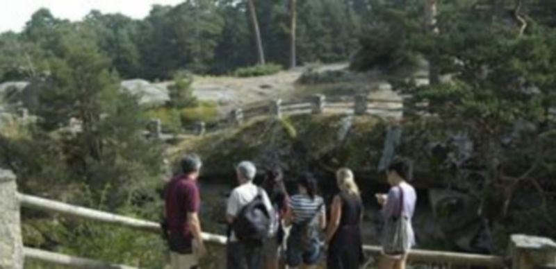 Las visitas permiten conocer zonas poco transitadas del pinar de Valsaín o recorrer el Camino de Pesquerías./ Juan Martín