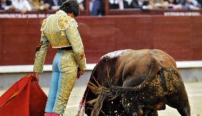 La personalidad de Curro Díaz quedará patente en Cantalejo el día 18 de agosto. / El Adelantado