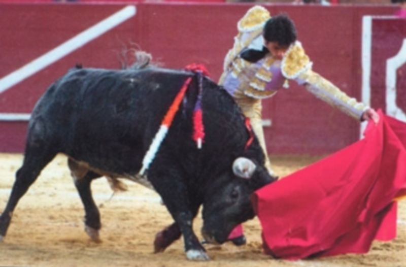 Momento estelar de Paulita la tarde de Valdemorillo. / El Adelantado