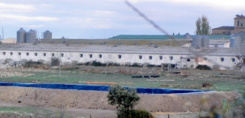 Imagen de una balsa de purines en las inmediaciones de una explotación ganadera. / El Adelantado