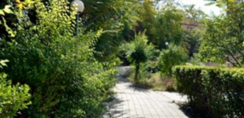 Zonas verdes de Anselmo Carretero. / KAMARERO