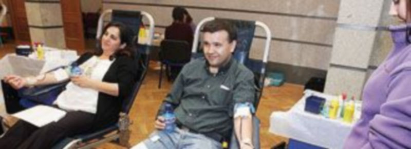 Funcionarios y ciudadanos en general asistieron a la jornada convocados por la Hermandad y la Junta. / El Adelantado