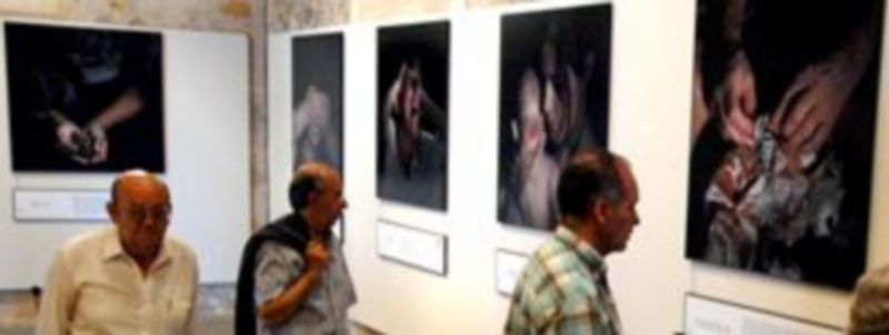 Los visitantes llenaron la exposición en la Casa de los Picos desde su inauguración ayer por la mañana. / ALBERTO BENAVENTE