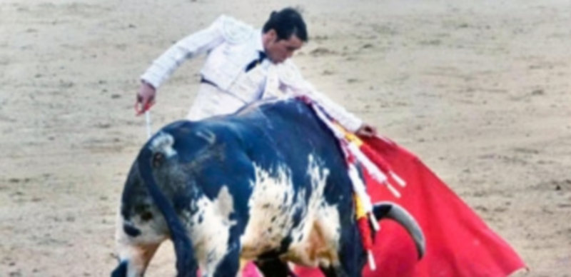 Este puede ser el año para el torero Javier Herrero. / Chantal Núñez