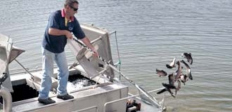 Un empleado de la Junta