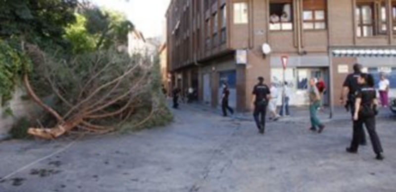 Imagen del estado en el que quedó la calle Carretas al caerse la rama de un árbol de una finca vallada. / Diego de Miguel.