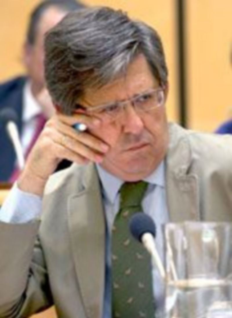 El portavoz municipal del PP