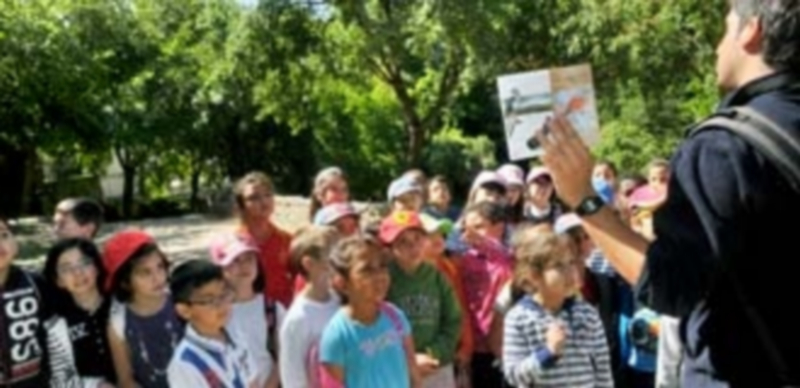 Un grupo de alumnos del colegio Eresma de Segovia escuchan atentamente las explicaciones de un voluntario de Seo Birdlife sobre las especies de pájaros de Segovia. / Kamarero