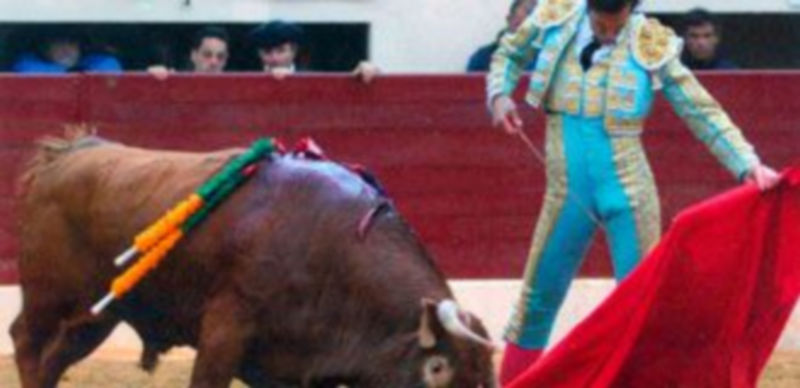 David Mora toreará en Segovia el día 29 de junio