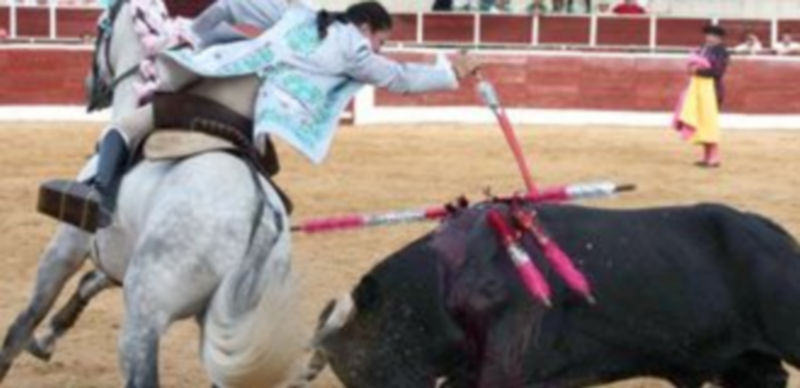 La lusitana Ana Rita tuvo una tarde triunfal el pasado año en la plaza de Nava de la Asunción. / El Adelantado