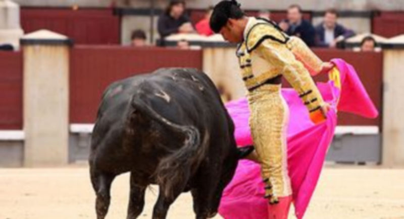 Luis Bolívar lidiará dos “victorinos” en Segovia. / El Adelantado