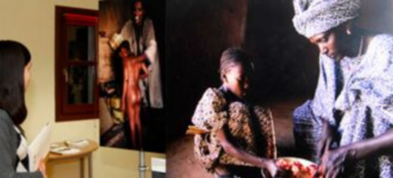 La exposición ya puede contemplarse en la Casa Joven del Ayuntamiento