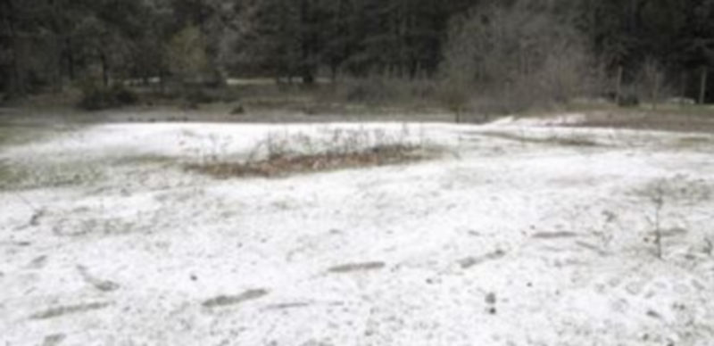 La nieve hizo tímido acto de presencia en el tramo hacia el puerto de Navacerrada. / ALBERTO BENAVENTE