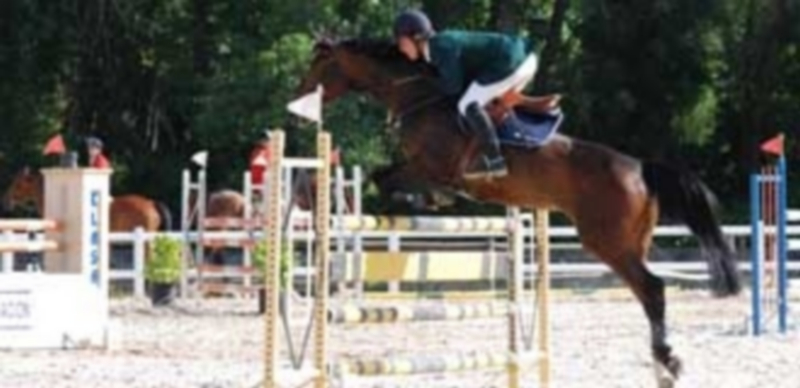 Prueba hípica en el Centro Ecuestre de Segovia