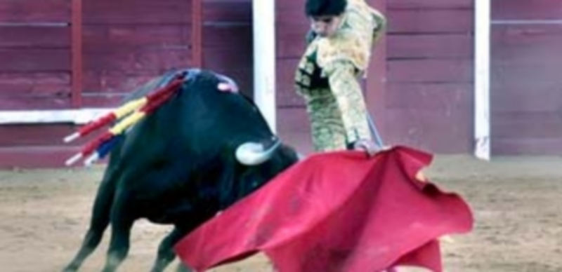 Víctor Barrio toreará el sábado 27 una importante corrida de toros. / F.D.