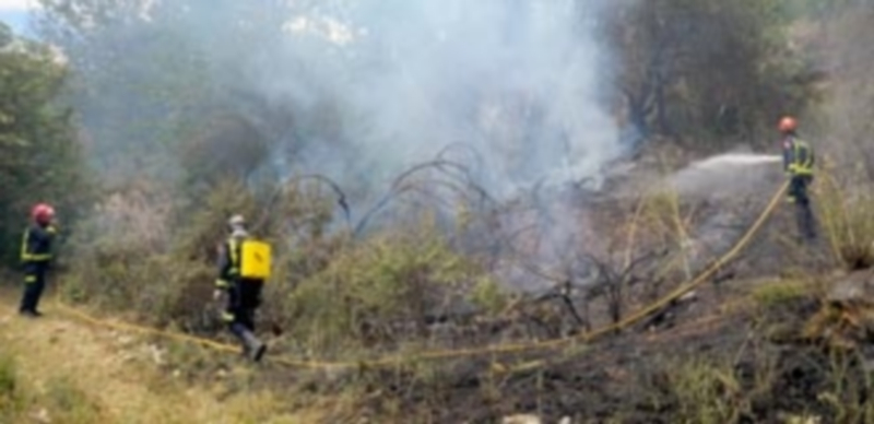 Los Bomberos de Segovia consiguieron sofocar el incendio antes de que llegara al Pinarillo. / KAMARERO
