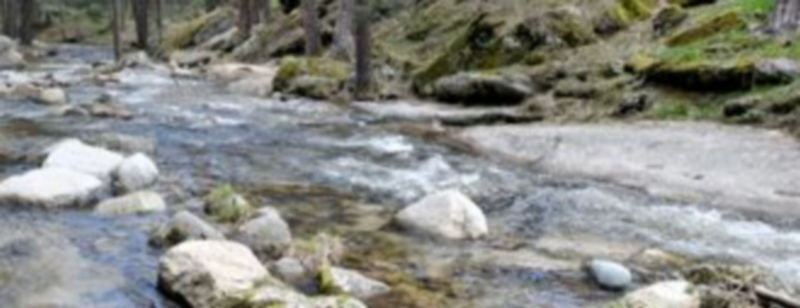 Paraje de la Sierra de Guadarrama en la provincia de Segovia./Kamarero