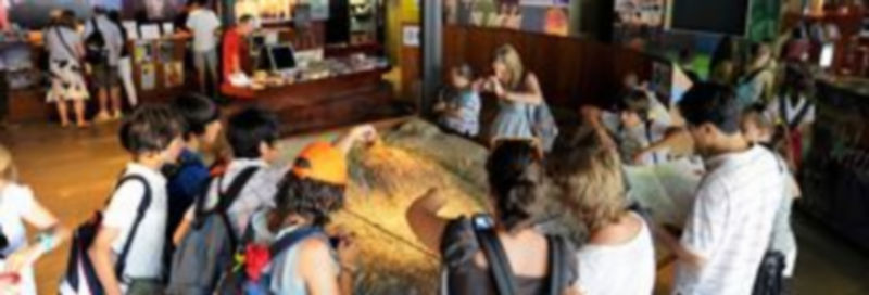 Un grupo de excursionistas contempla la maqueta de la ciudad instalada en el Centro de Recepción de Visitantes. / Kamarero