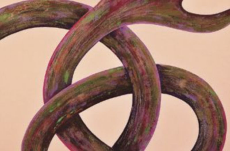 Damaris Montiel. ST040. 2010.