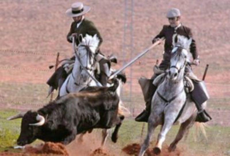 Dos garrochistas ultimando el acoso y derribo de la res. / El Adelantado