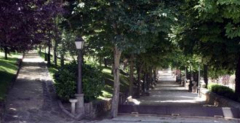 Los jardines son un lugar de gran atractivo por su configuración y las especies arbóreas que conserva./ Juan Martín
