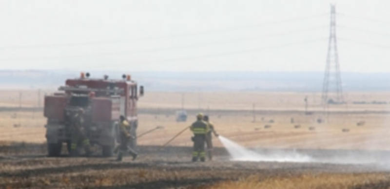 Una cuadrilla de bomberos participa en la extinción de un incendio forestal en la provincia. / El Adelantado