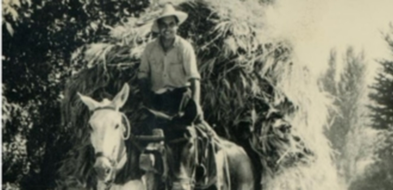 Las fotografías antiguas se escanearán en el puesto instalado para ello en el Ayuntamiento de Matabuena. / EL ADELANTADO