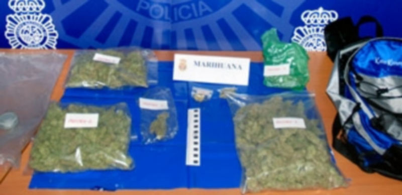 Bolsas de marihuana que llevaba ocultas el joven detenido. / El Adelantado