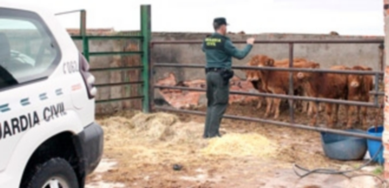 Un agente de la Guardia Civil