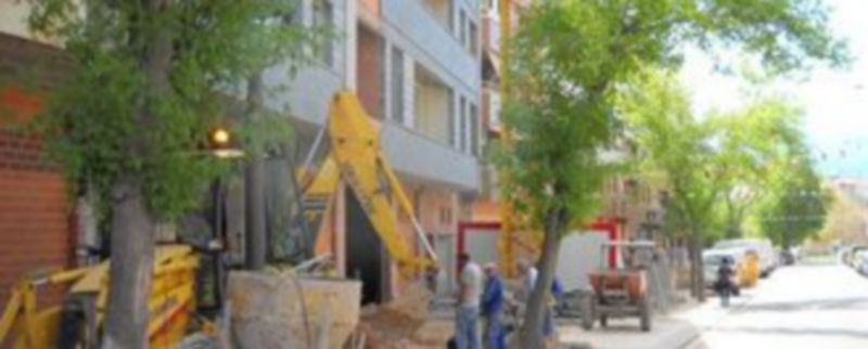 Árbol a sustituir en la calle Obispo Quesada. / El Adelantado