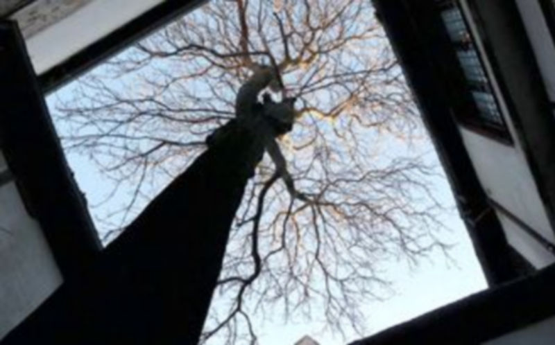 Una de las fotos de la muestra