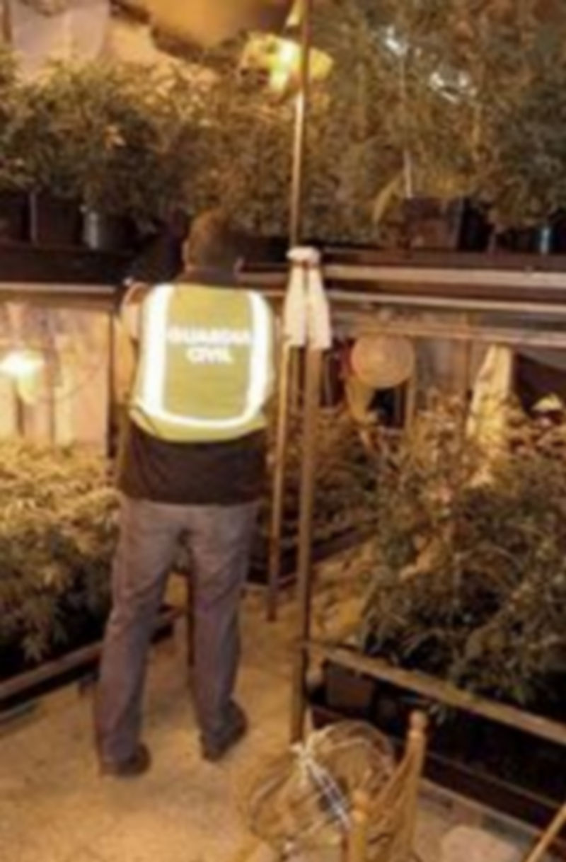 Un agente inspecciona el lugar en el que se hallaron las plantas. / El Adelantado