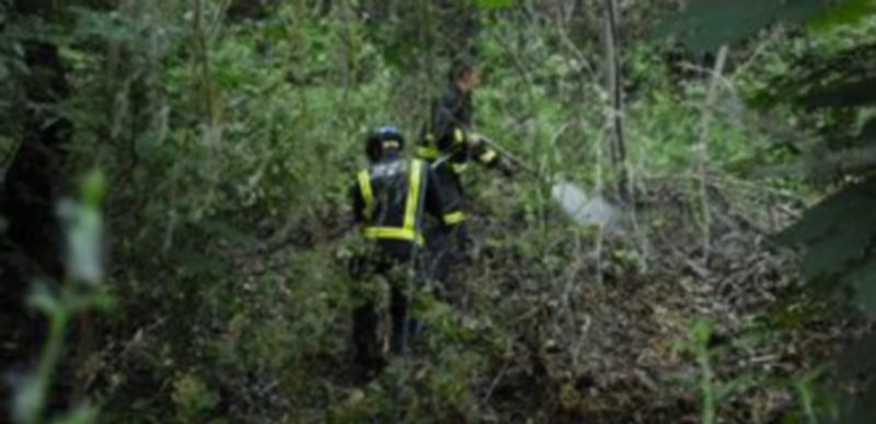 Dos integrantes del Cuerpo de Bomberos apagan el fuego provocado por los restos de polen. / Alberto Benavente