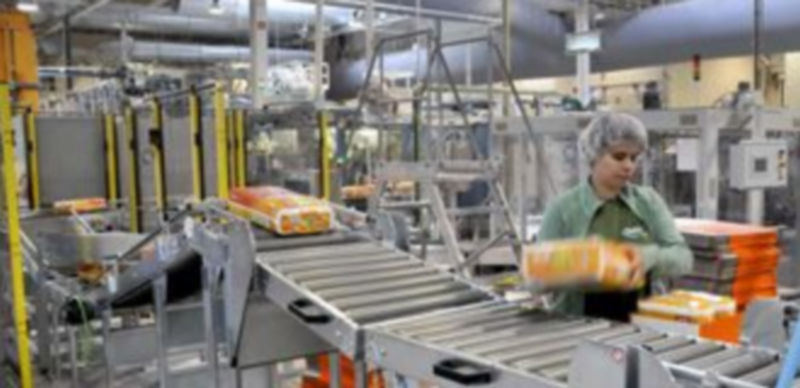 Imagen del interior de las instalaciones que Óntex tiene en el polígono Nicomedes García. / Juan Martín