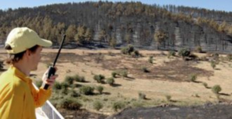 Un vigilante medioambiental
