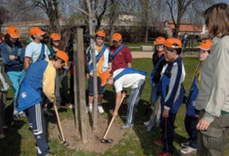 Unos escolares plantan un árbol