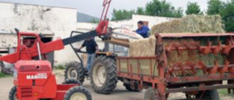 Trabajadores del sector agropecuario. La afiliación al régimen agrario ha descendido más de un 5% en un año. / F. D.
