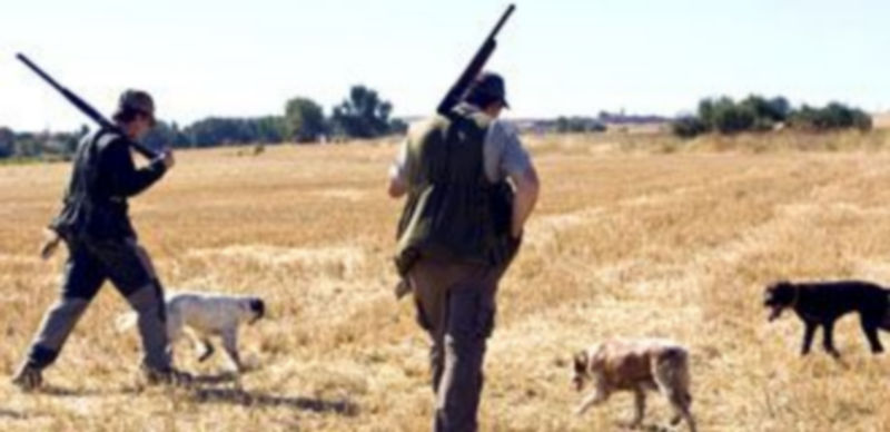 Alrededor de 4.500 segovianos cuentan este año con licencia de caza. / Ical.