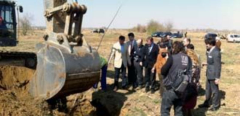 Imagen de una plantación de chopos en una finca gestionada a través de un convenio con la Junta. /El Adelantado