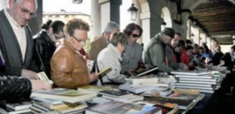 Los libros se convierten en protagonistas durante los próximos días en la ciudad de Segovia. / Kamarero