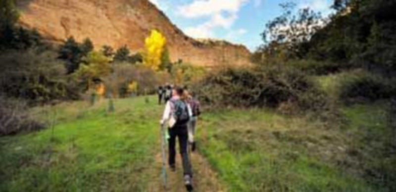 El Camino de San Frutos fue el producto estrella de la oferta del Patronato Provincial el pasado año. / Kamarero